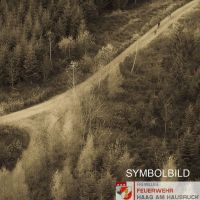 _ins2020-11-08 Wald Symbolbild